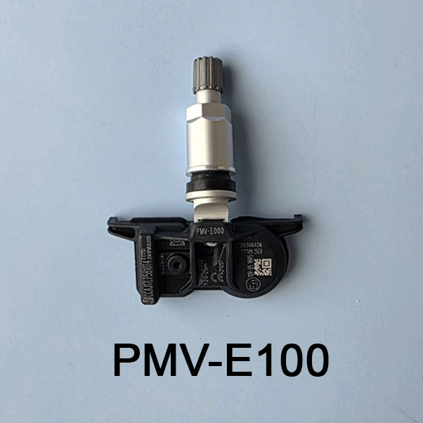 PMV-E100
