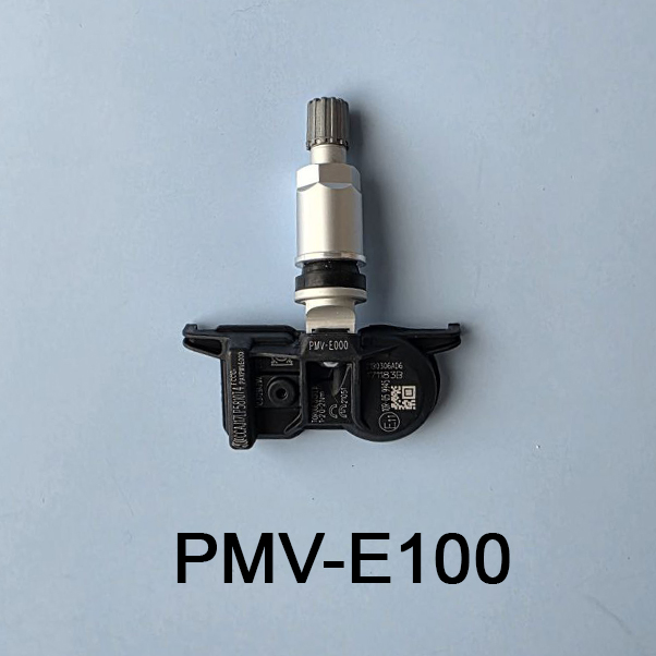 PMV-E100