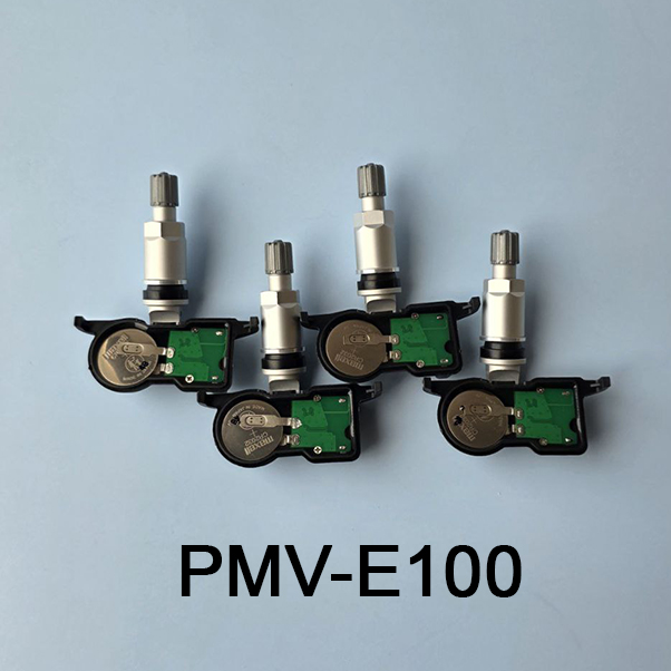 PMV-E100