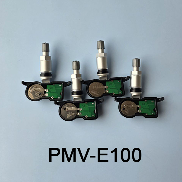 PMV-E100
