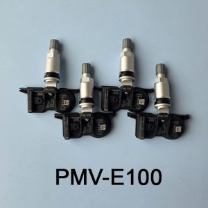 PMV-E100