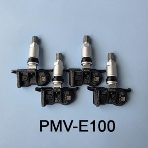 PMV-E100
